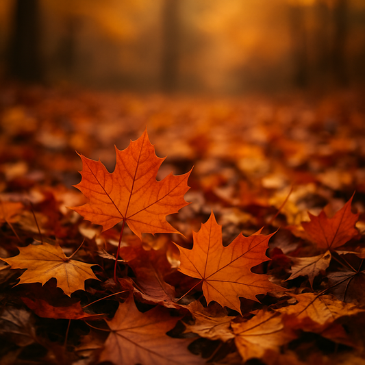 Autumn Leaves